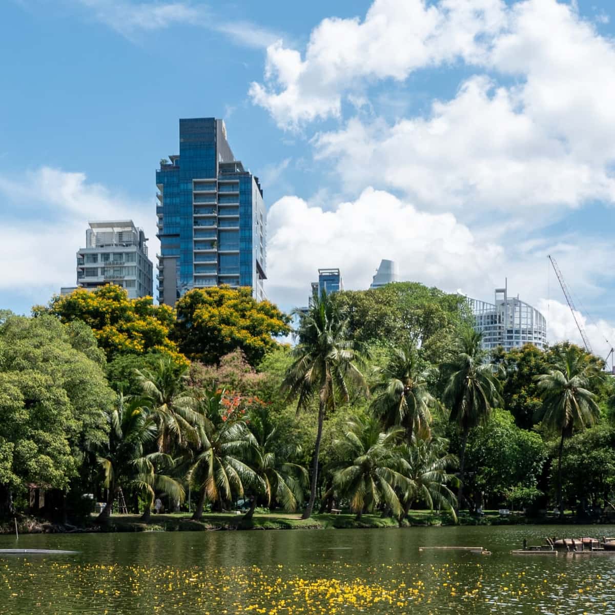 Lumpini Park, Bangkok