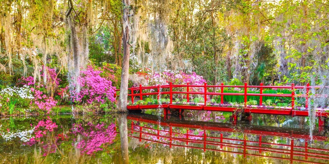 Magnolia Plantation, Charleston