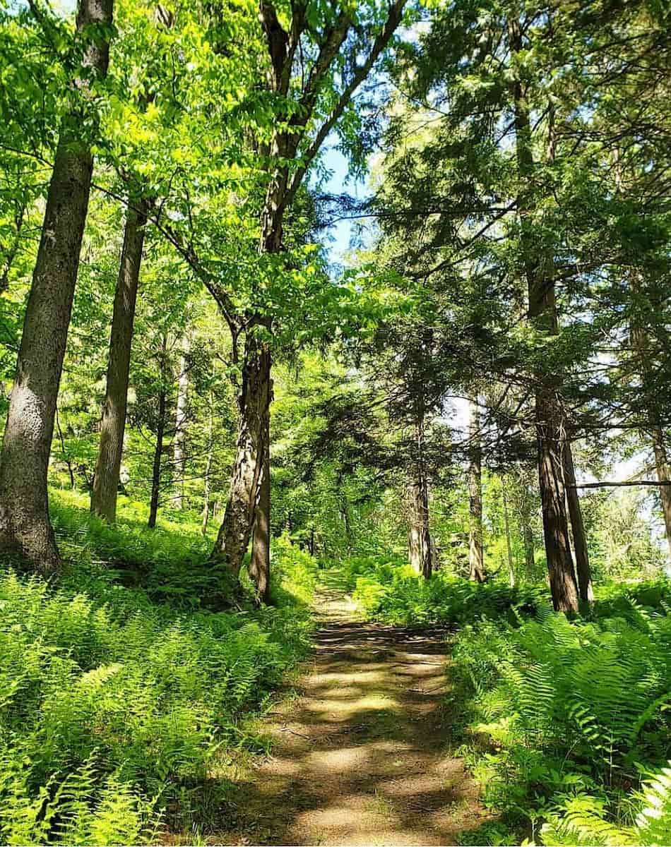 Marsh-Billings-Rockefeller National Historic Park