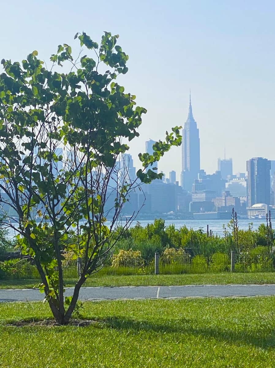 Marsha P. Johnson Park, Brooklyn