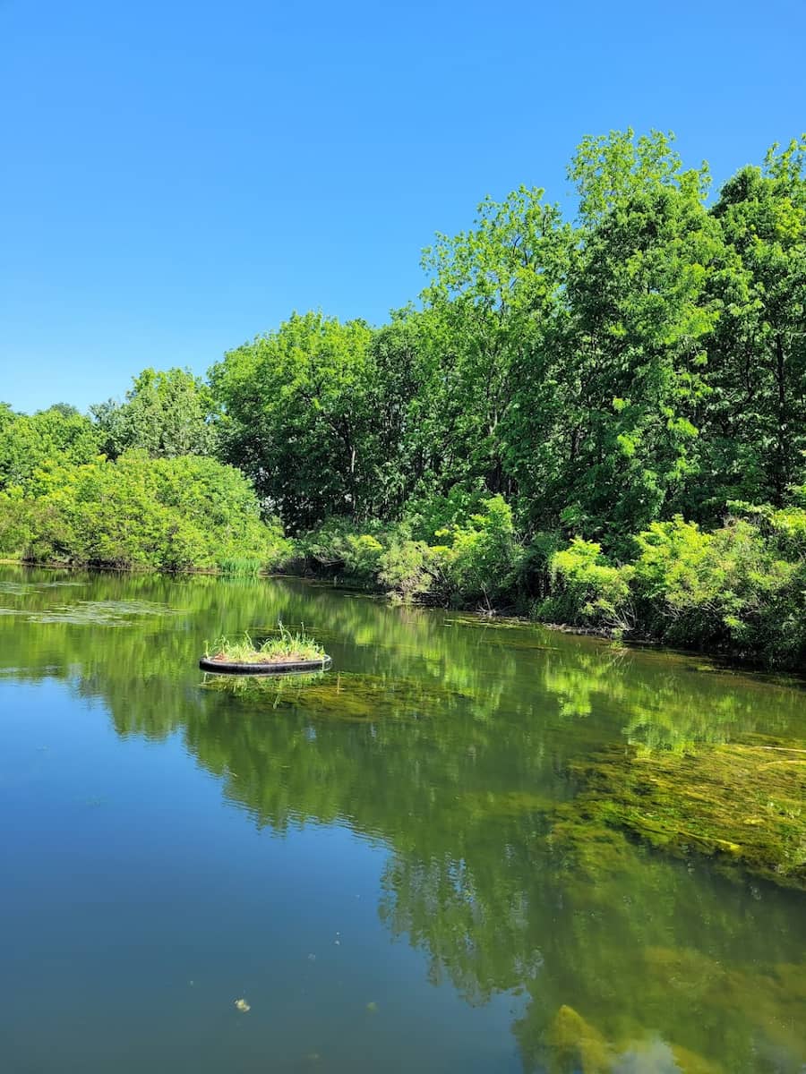 McConnell Springs Park, Lexington