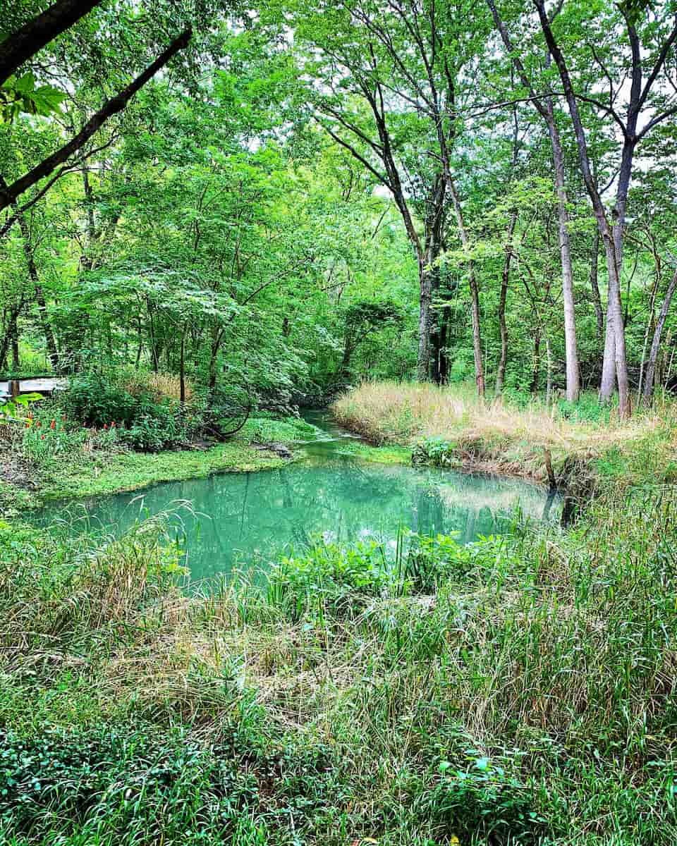 McConnell Springs Park, Lexington