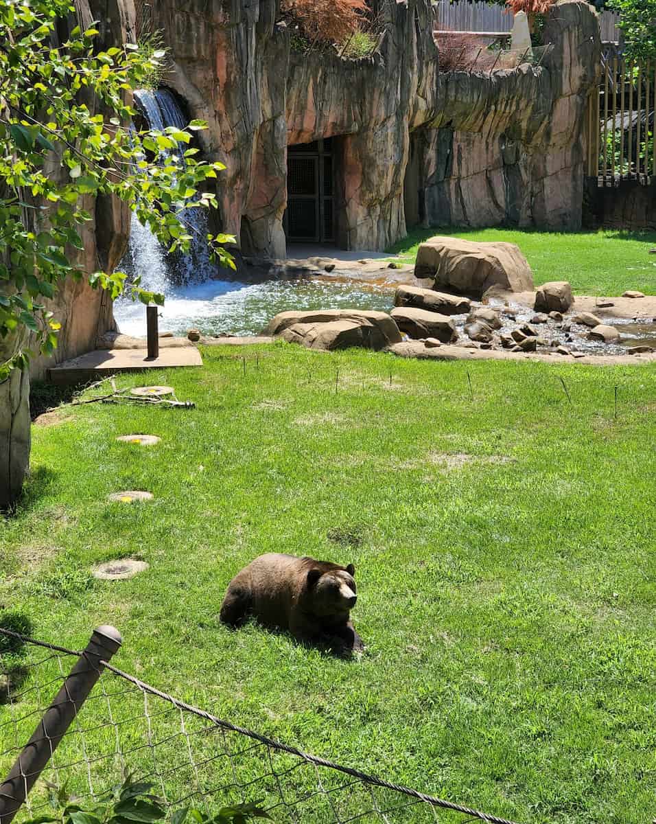 Memphis Zoo Animal Encounters