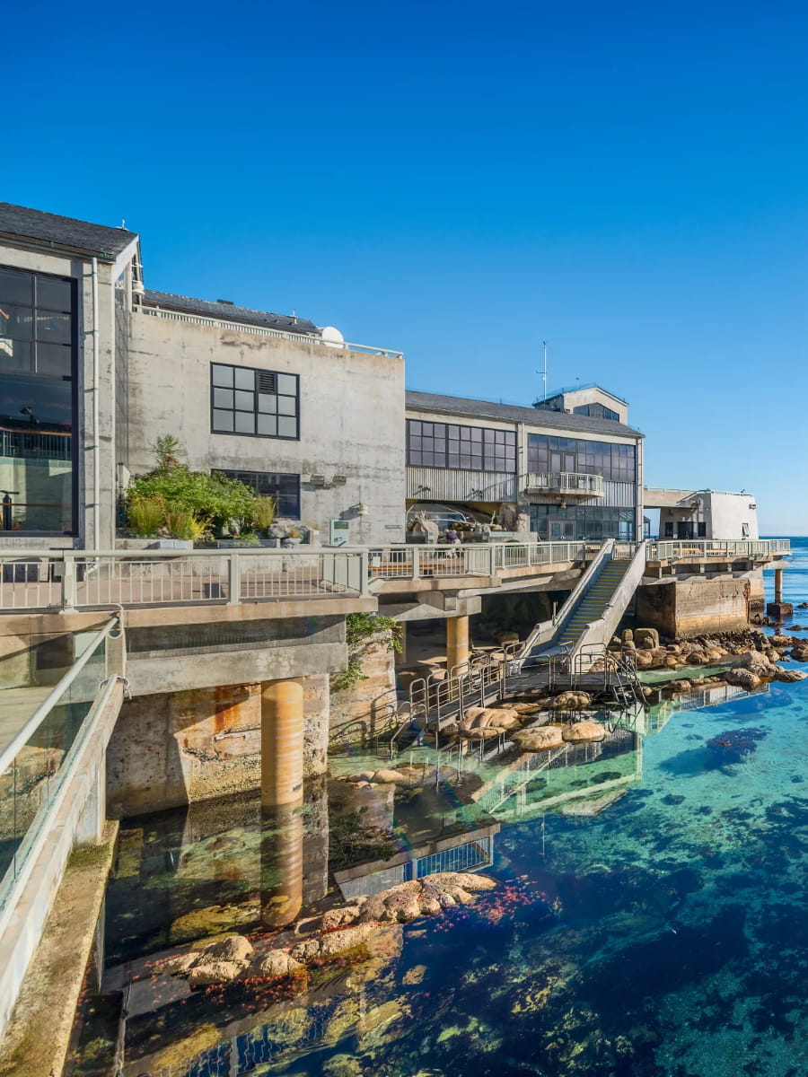 Monterey Bay Aquarium, Monterey, California