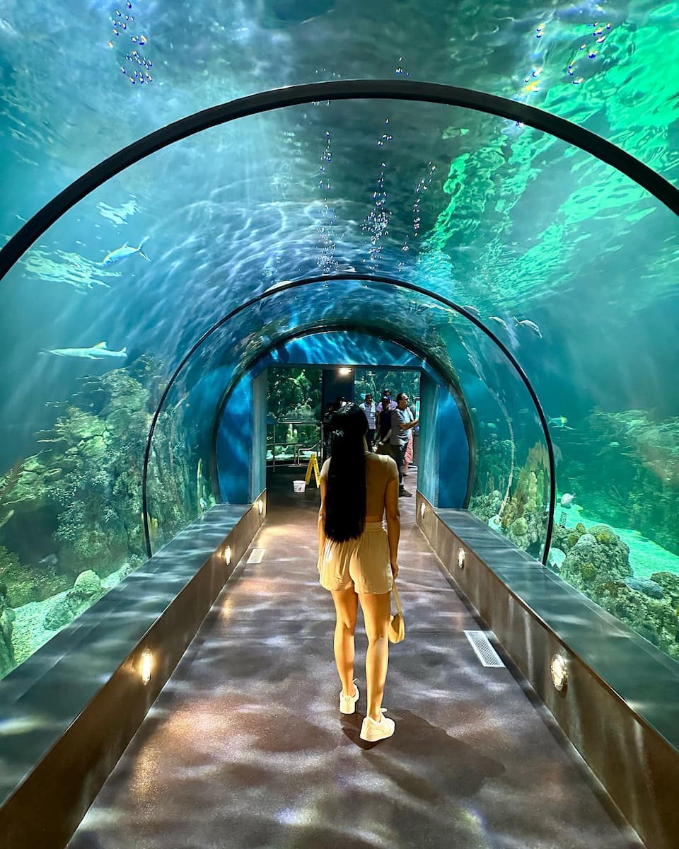 Moody Gardens, Galveston