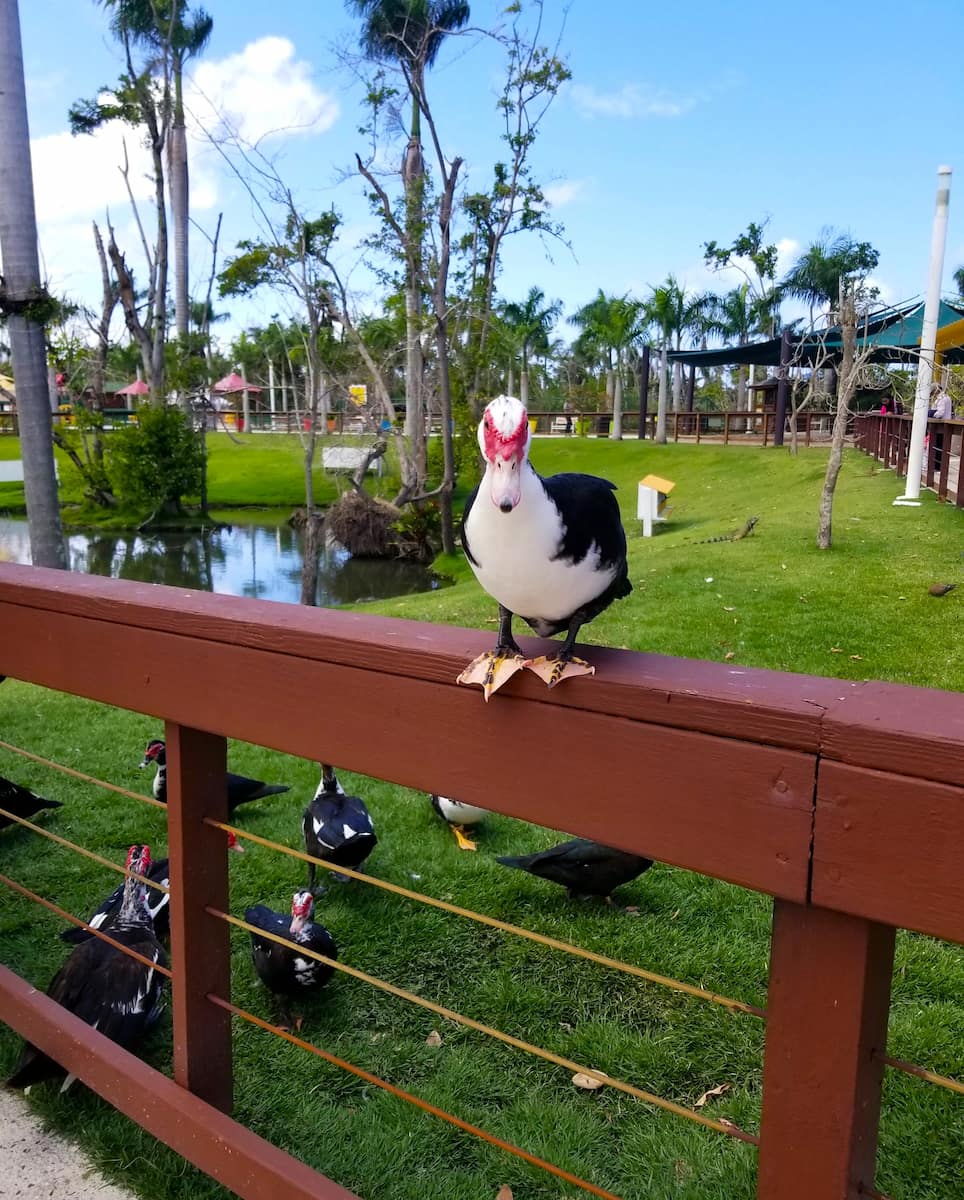 Museo del Niño, Puerto Rico