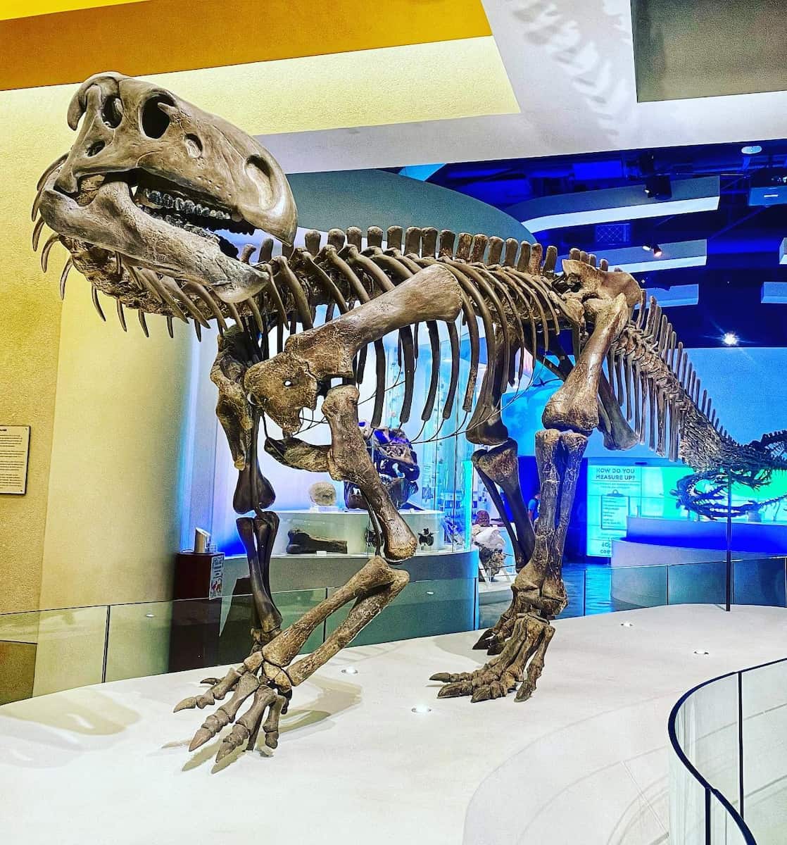 Museum of Science & History, Fort Worth