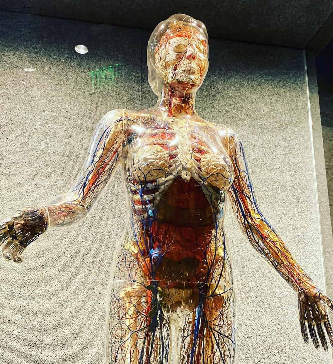 Museum of Science & History, Fort Worth