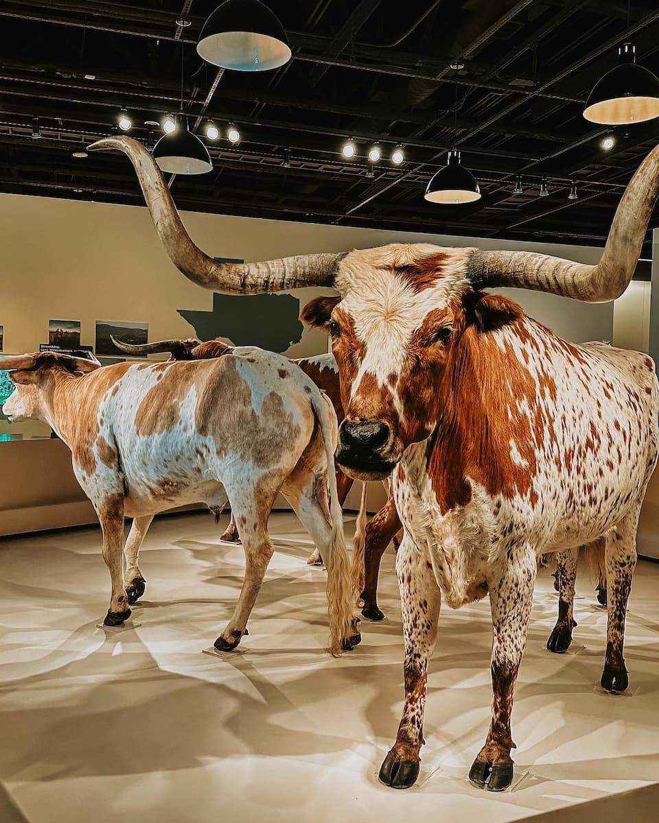 Museum of Science & History, Fort Worth