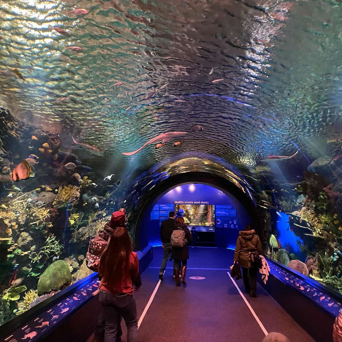 New York Aquarium at Coney Island, Brooklyn