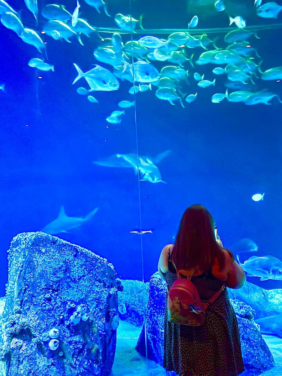 New York Aquarium at Coney Island, Brooklyn