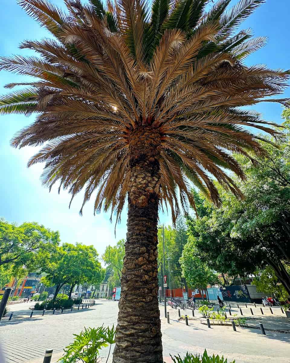Parque España