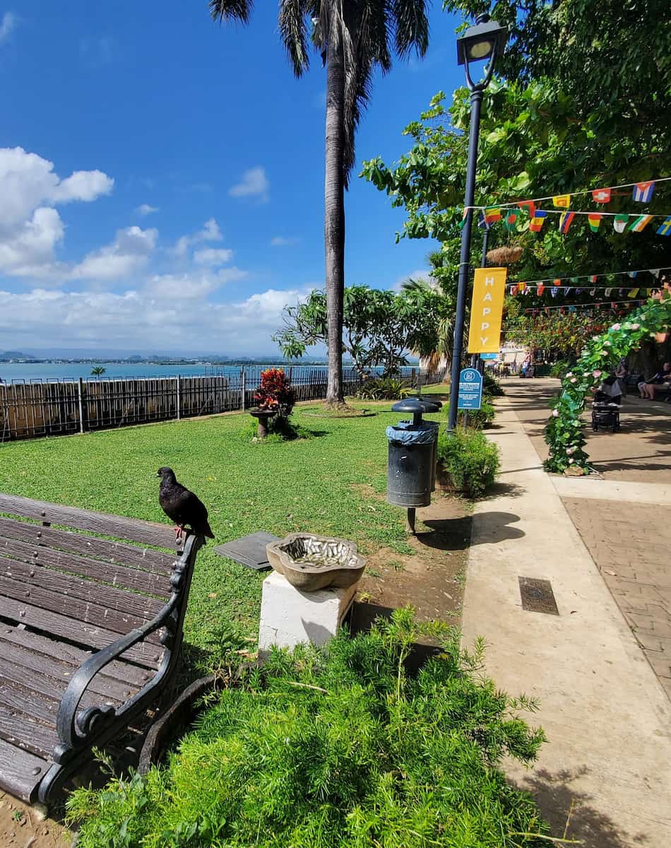 Parque de las Palomas, San Juan