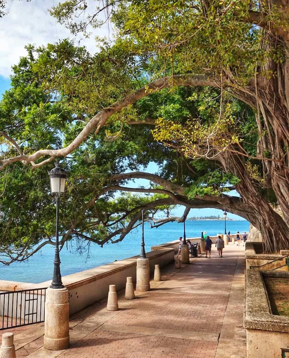 Paseo de la Princesa, SJ