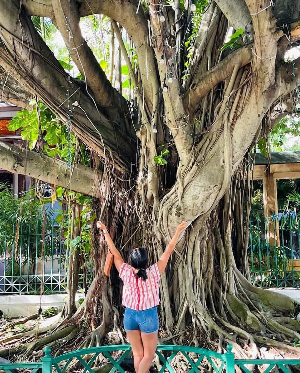 Paseo de la Princesa, SJ