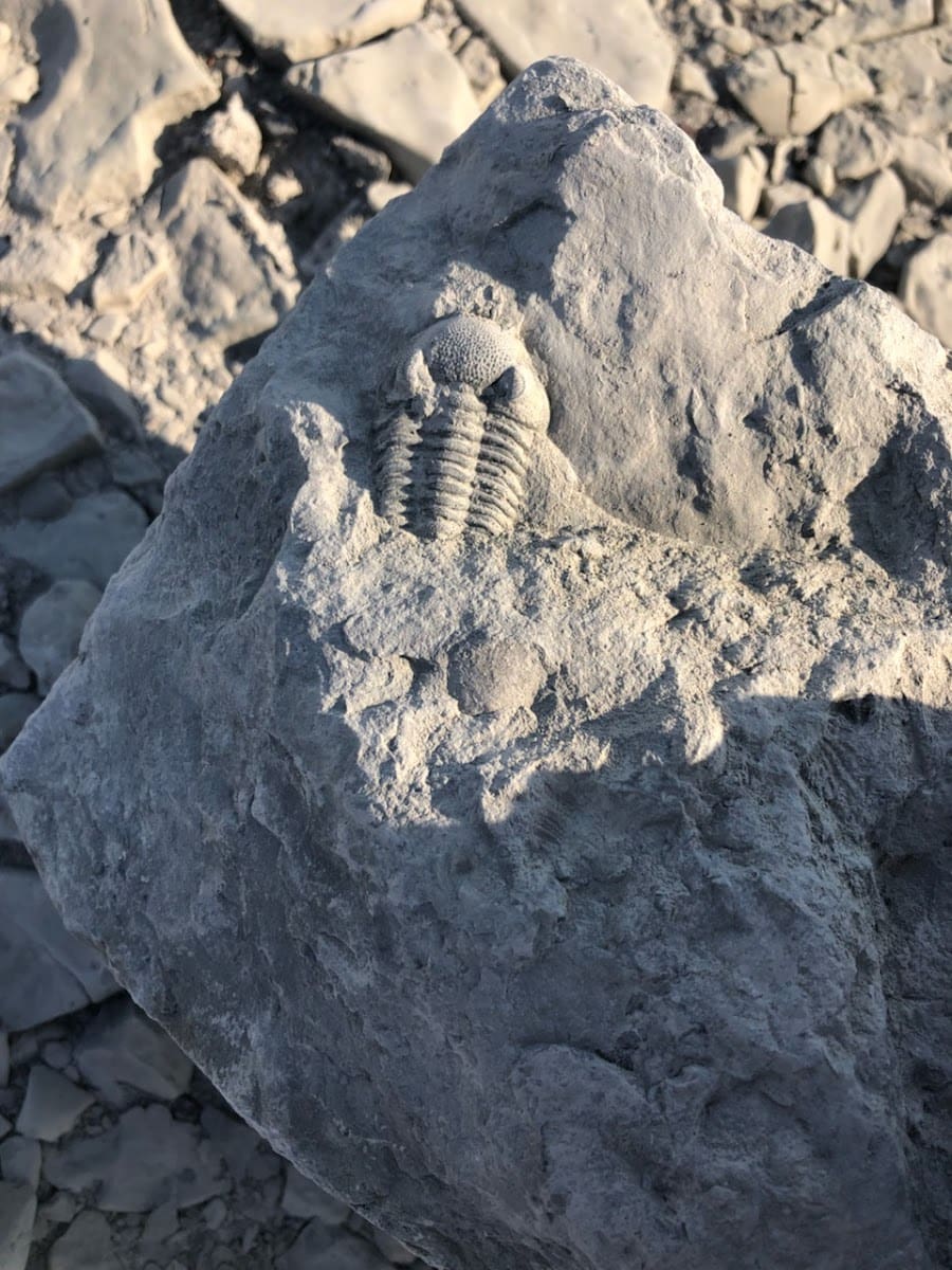 Penn Dixie Fossil Park & Nature Reserve, Buffalo, NY