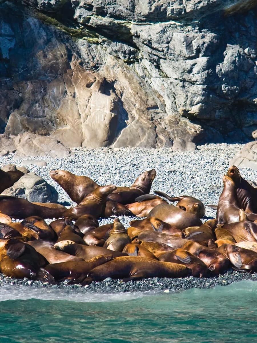 Portage Glacier and Prince William Sound, Anchorage