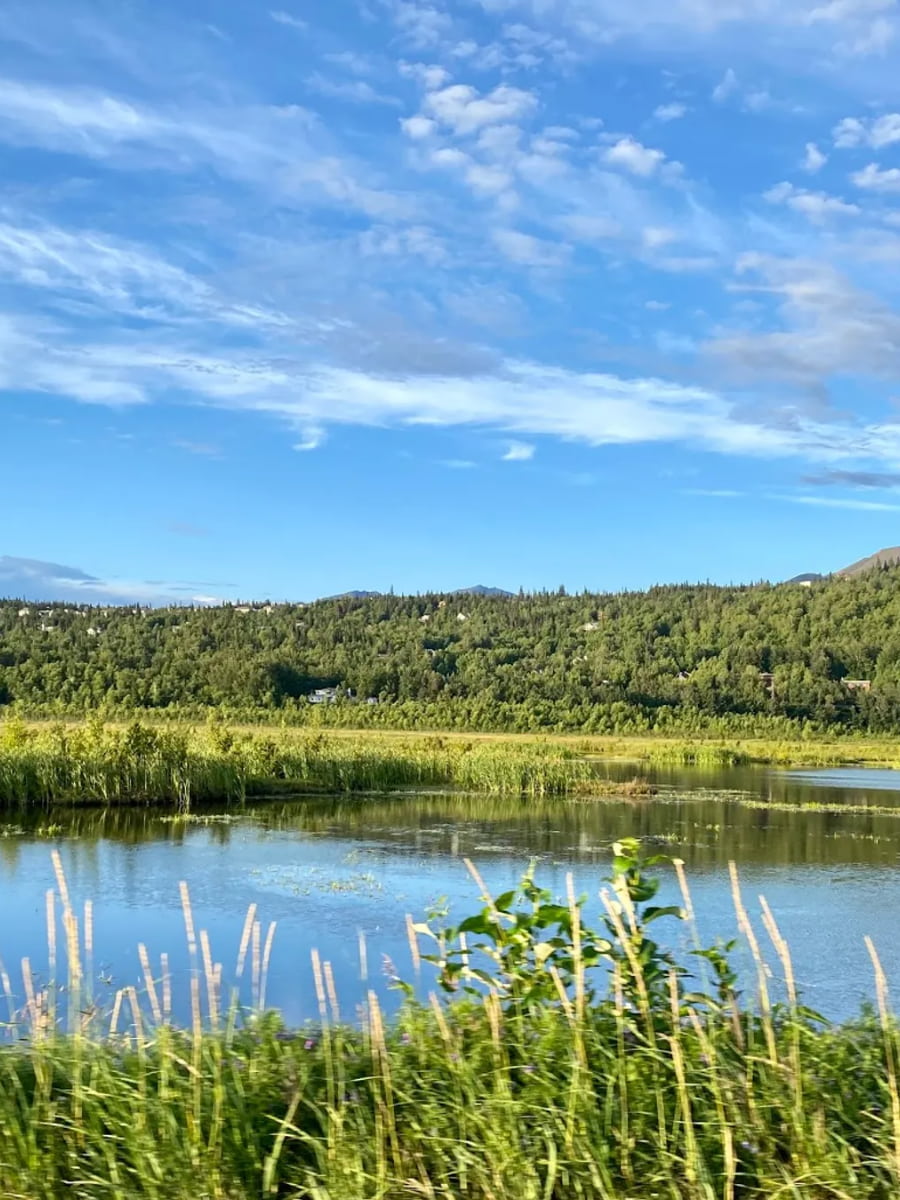 Potter Marsh and Bird Watching Anchorage, Anchorage