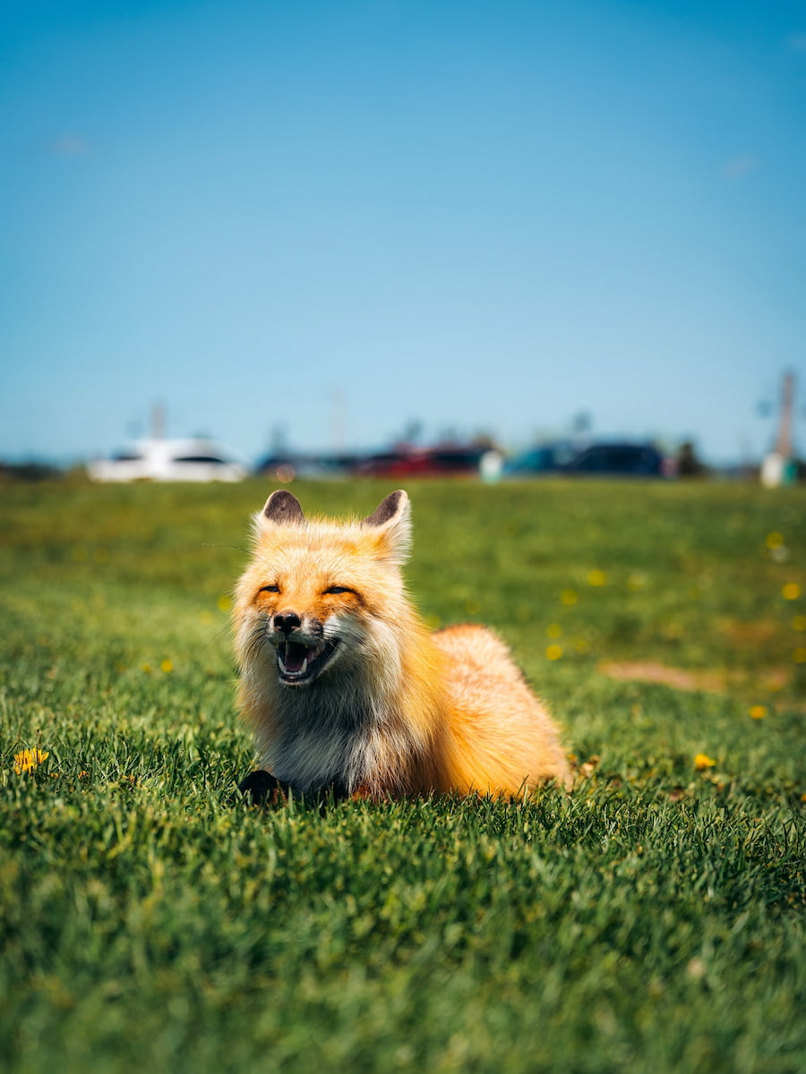 Prince Edward Island, Canada