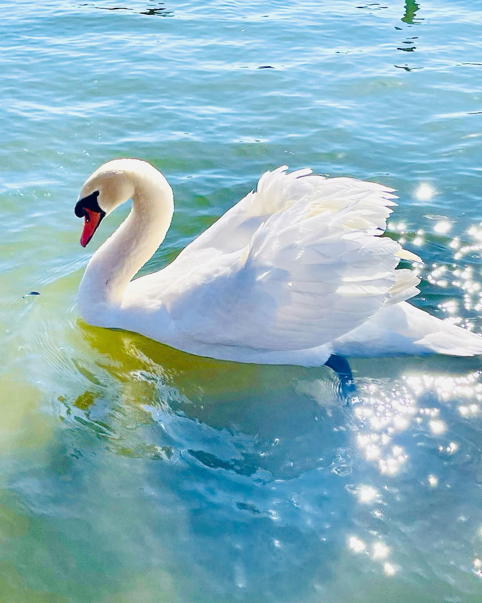 Prospect Park, Brooklyn