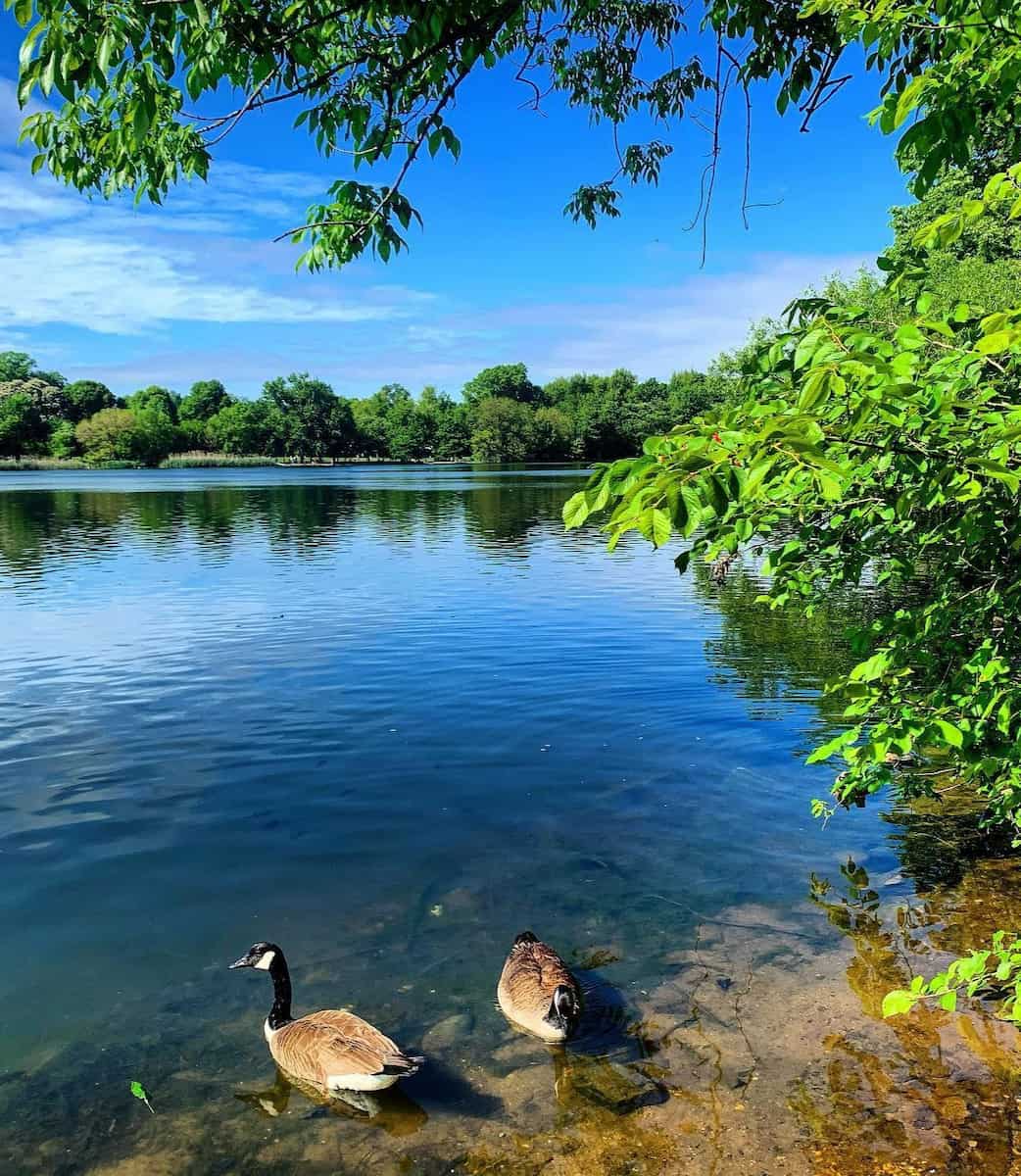 Prospect Park, Brooklyn