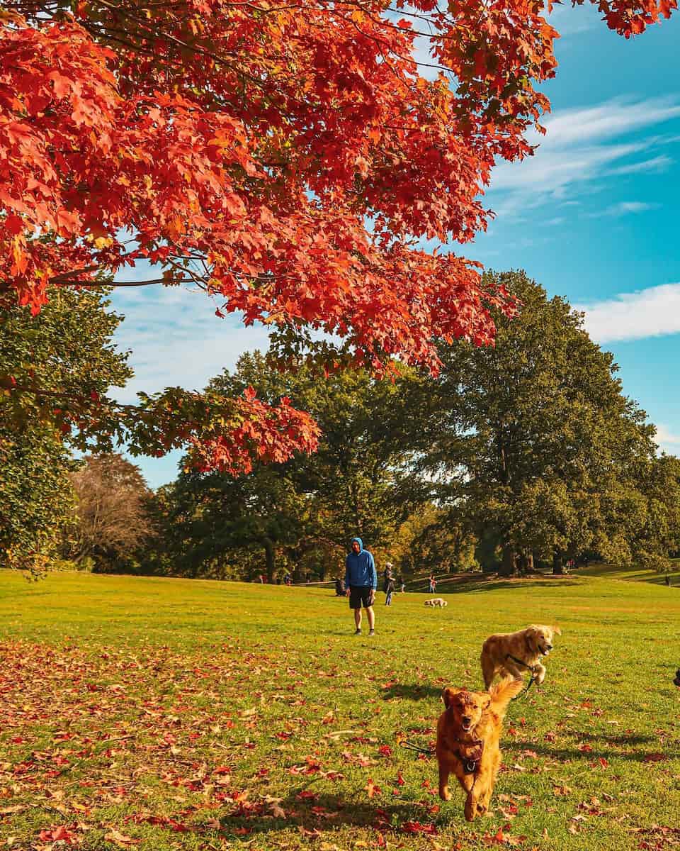 Prospect Park, Brooklyn
