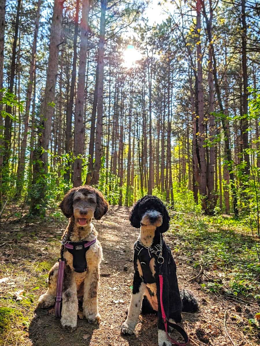 Provin Trails, Grand Rapids, MI