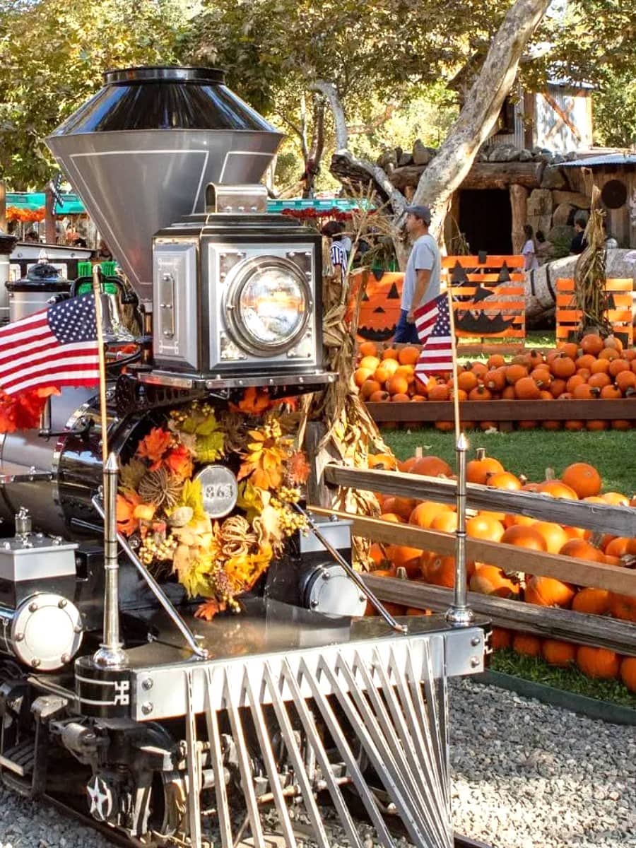 Pumpkin Patches, Orange County, California