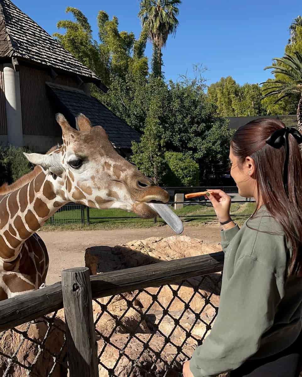 Reid Park Zoo, Tucson