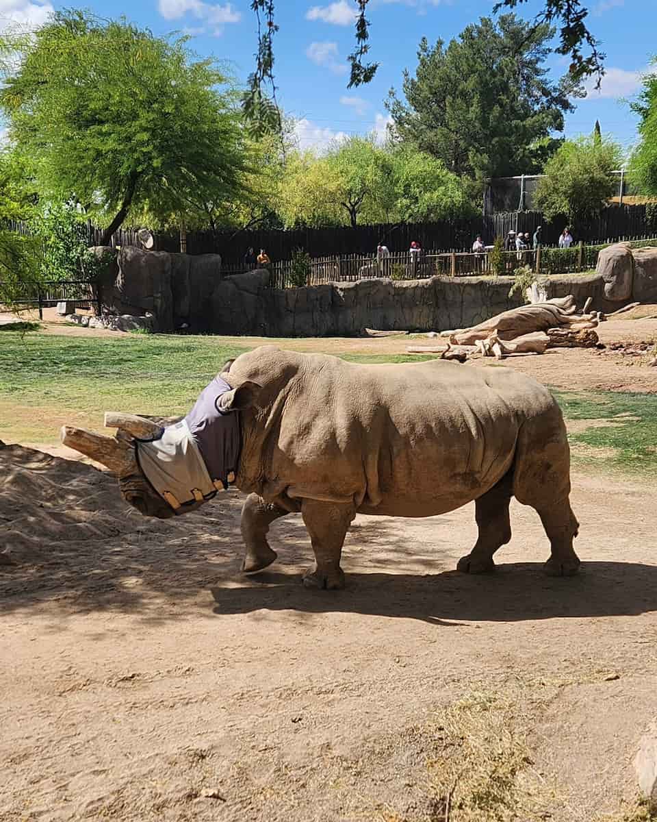 Reid Park Zoo, Tucson