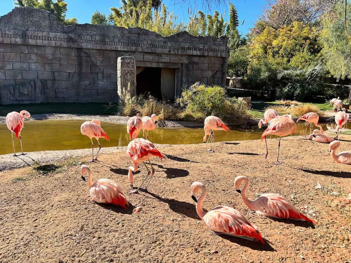 Reid Park Zoo, Tucson