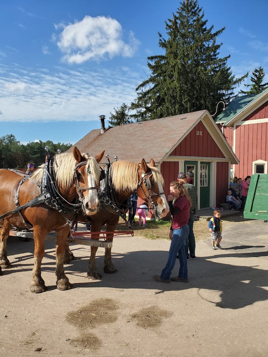 Robinette Apple Haus & Winery, Michigan