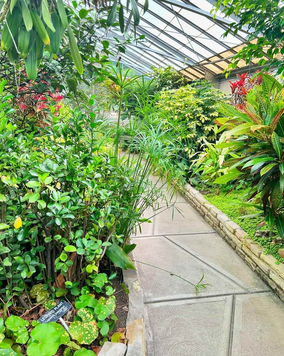 Rockefeller Greenhous, Cleveland