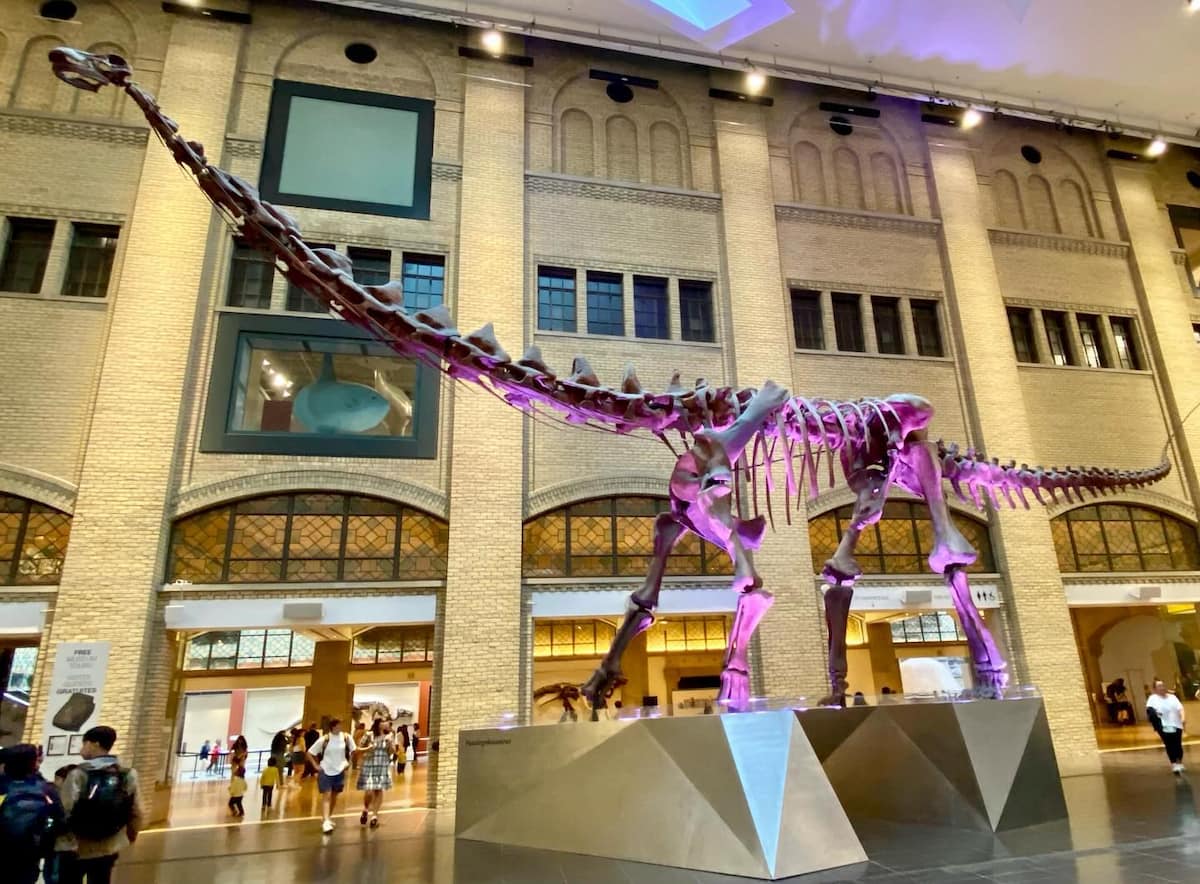 Royal Ontario Museum, Canada