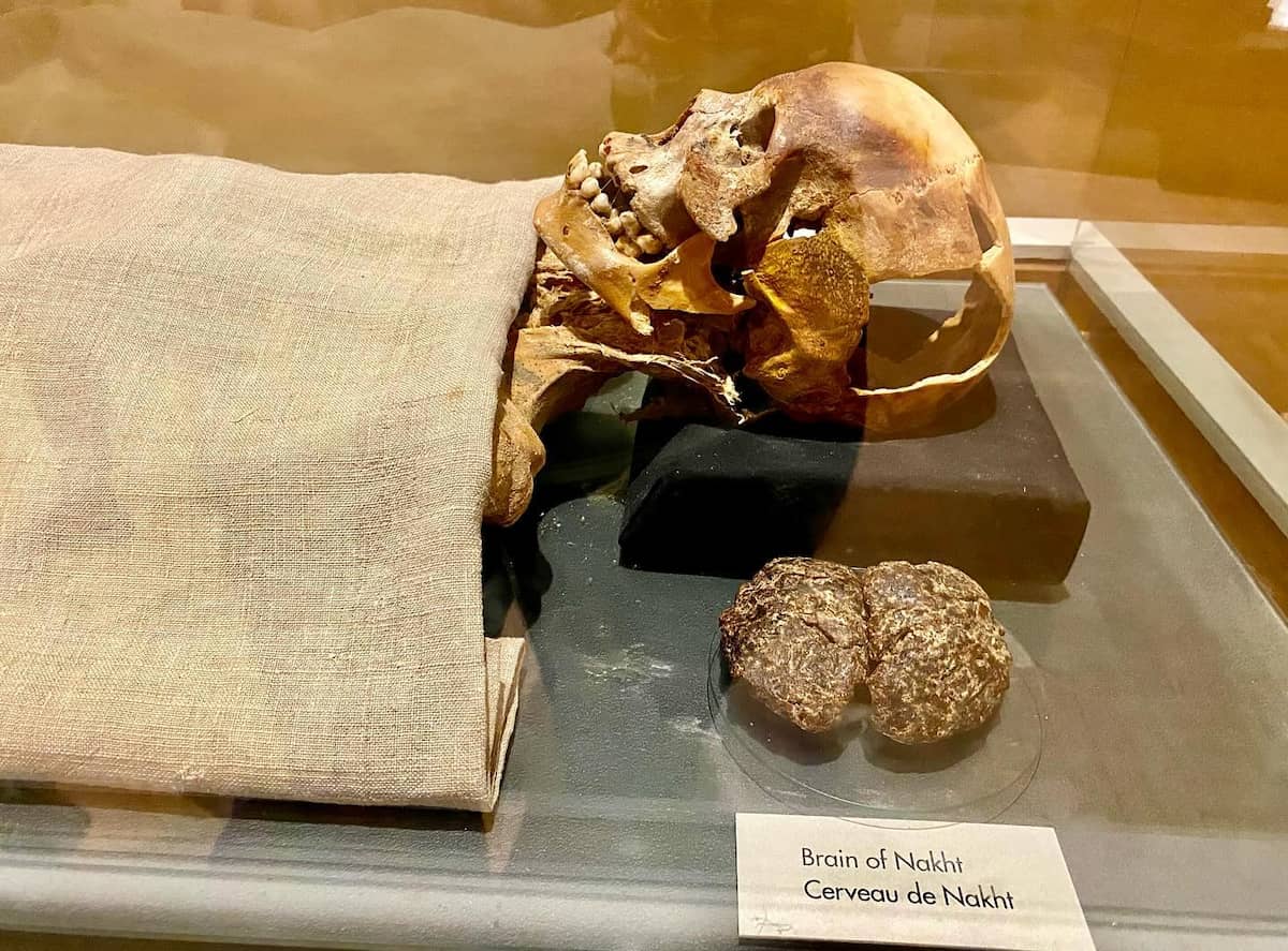 Royal Ontario Museum, Canada