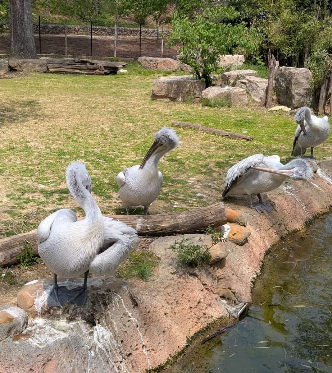 Rupp Arena, Kentucky