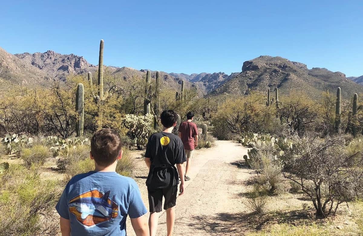 Sabino Canyon Recreation Area, Tucson