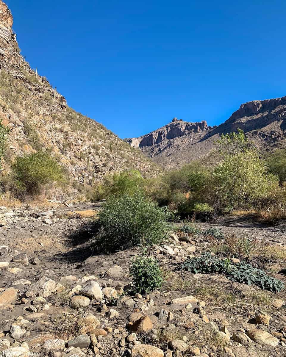 Sabino Canyon Recreation Area, Tucson