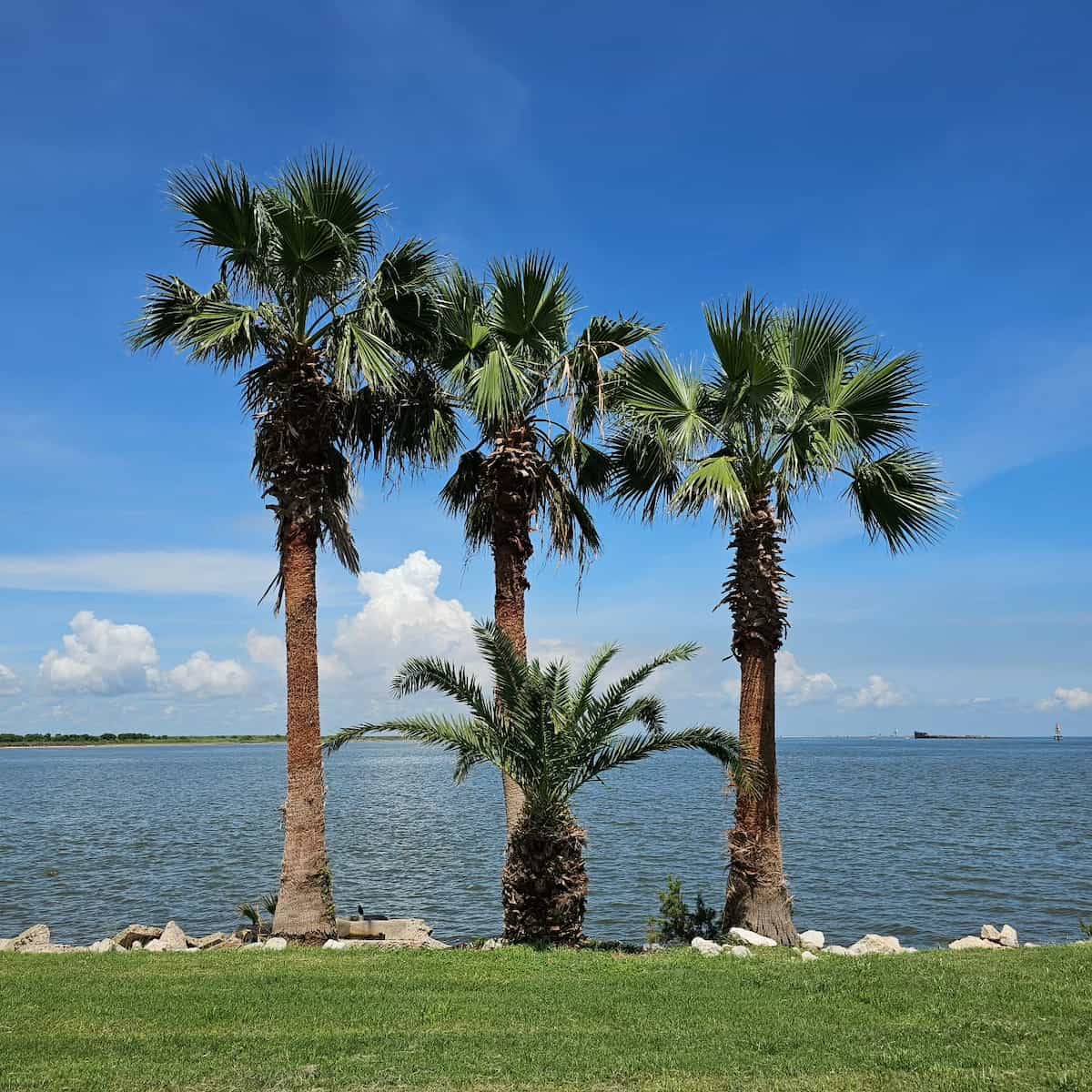 Seawolf Park, Galveston