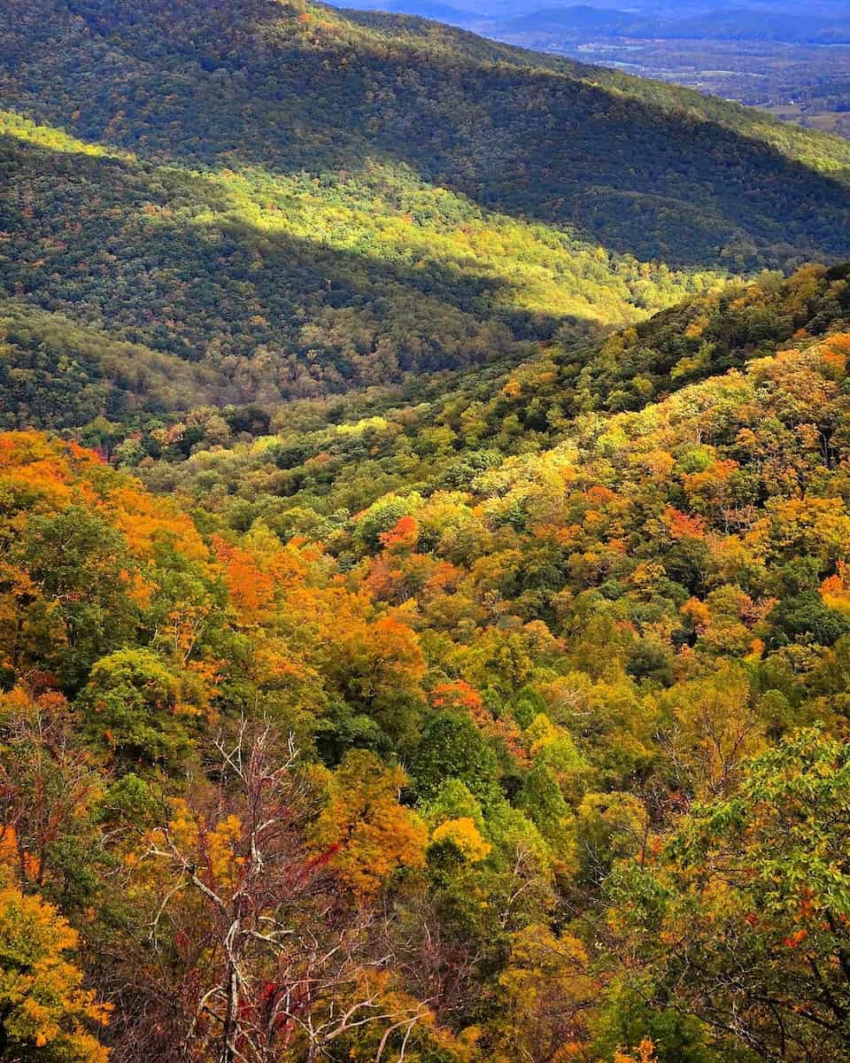 Shenandoah National Park, Charlottesville