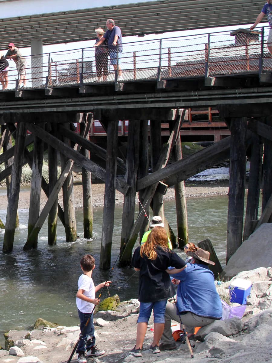 Ship creek, Anchorage