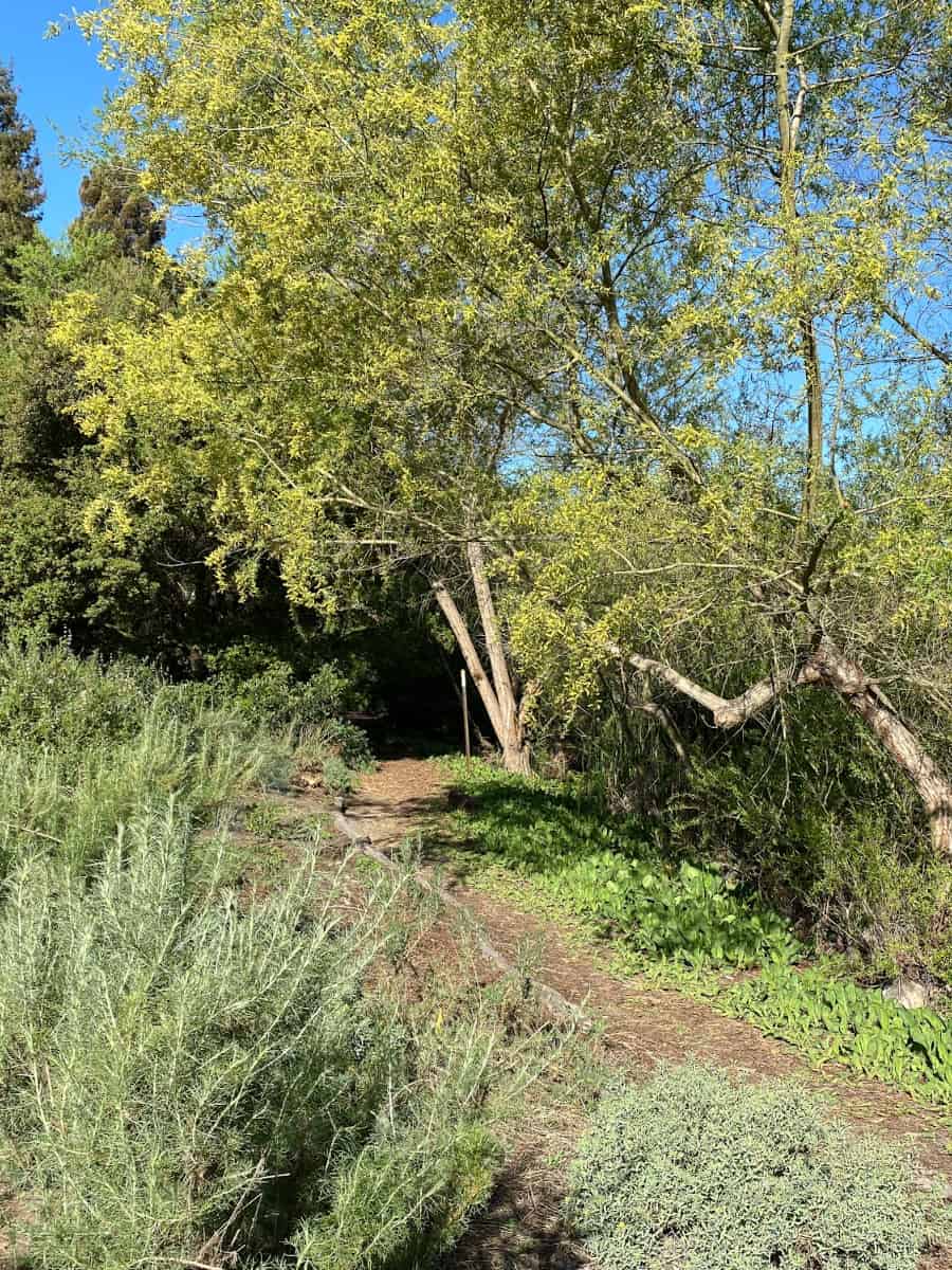 Shipley Nature Center, Orange County, California