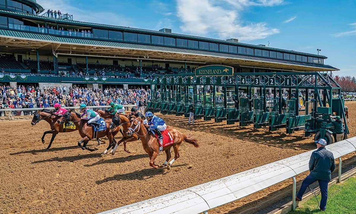 Spring Meet, Lexington