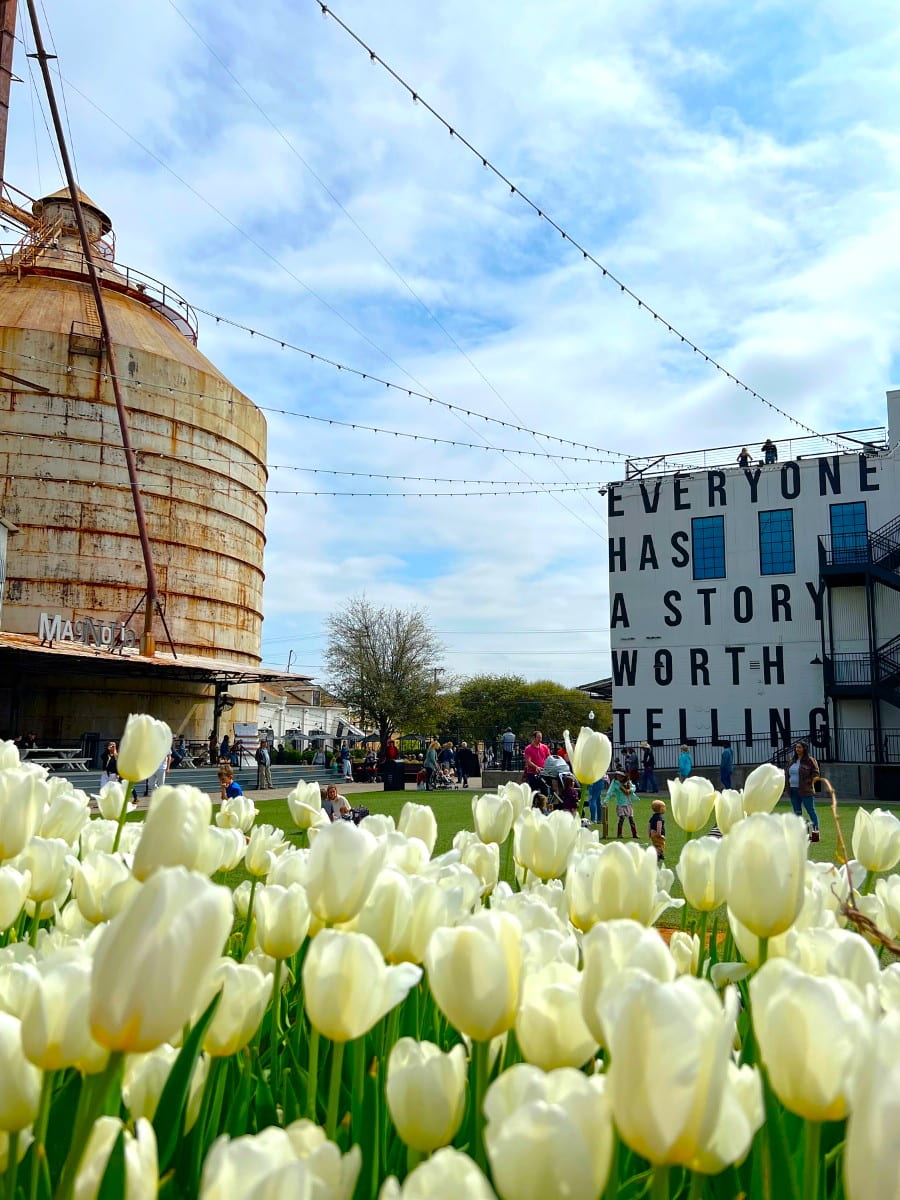 Spring at the Silos, Waco, TX