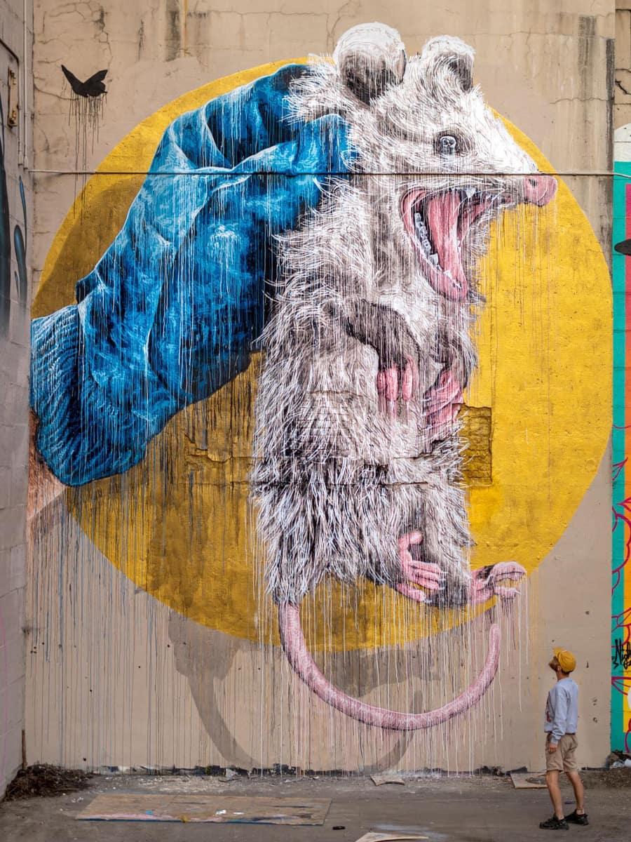 Street Art, Richmond, VA