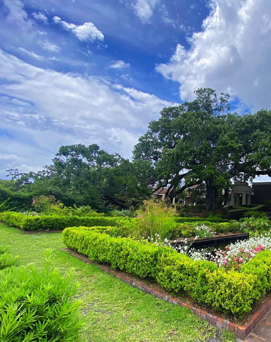 Summer Fridays at Cummer, FL