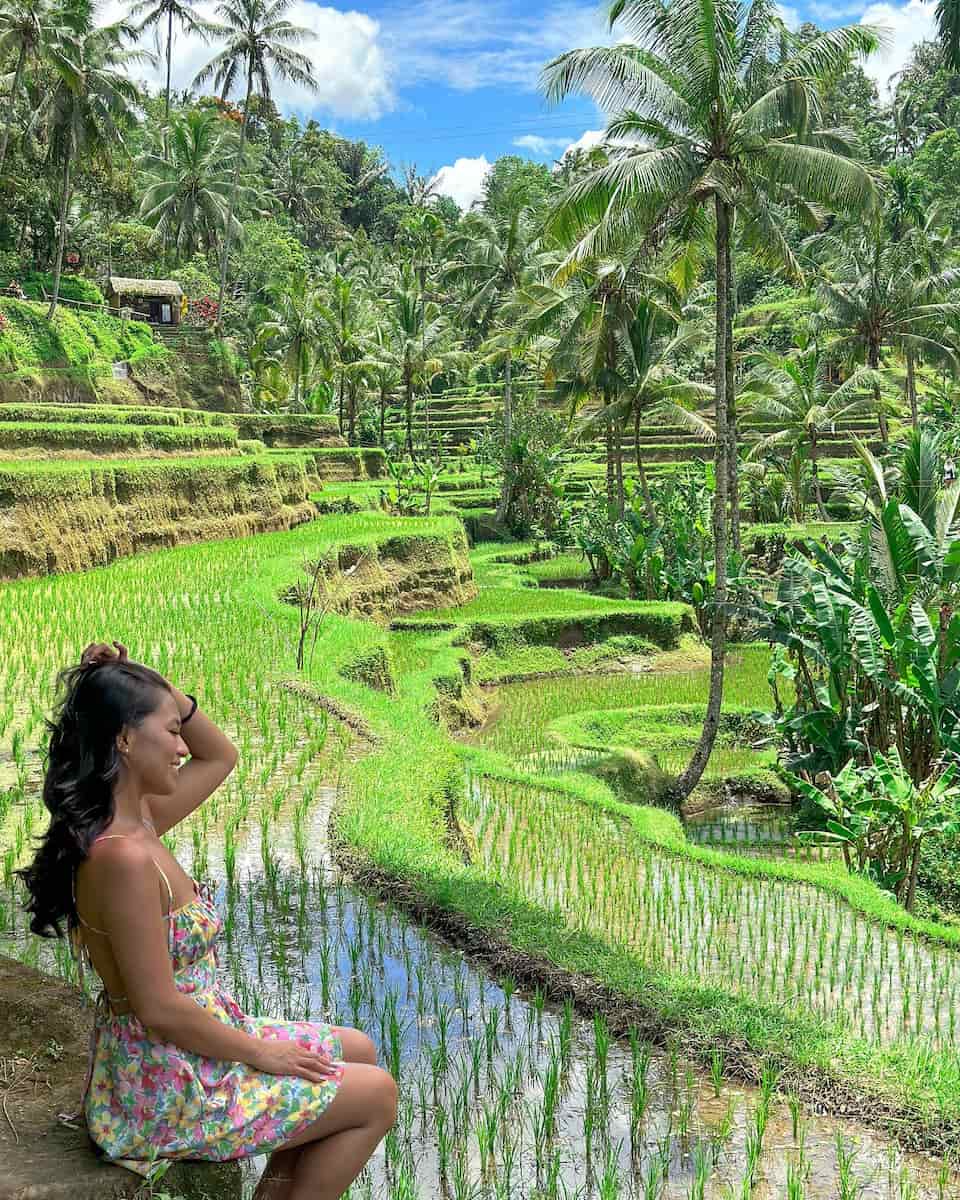 Tegallalang Rice Terraces, Bali