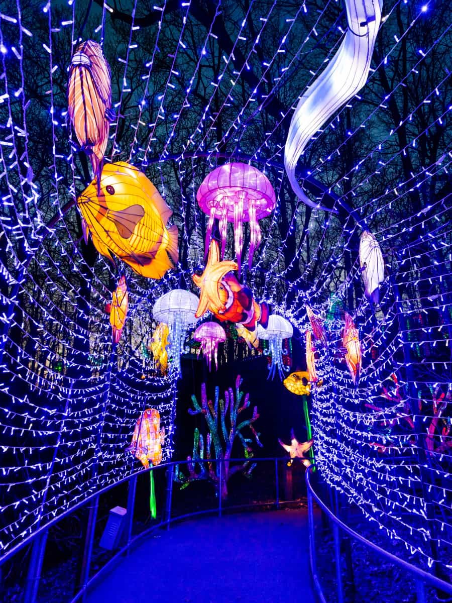 The Grand Rapids Lantern Festival, Grand Rapids