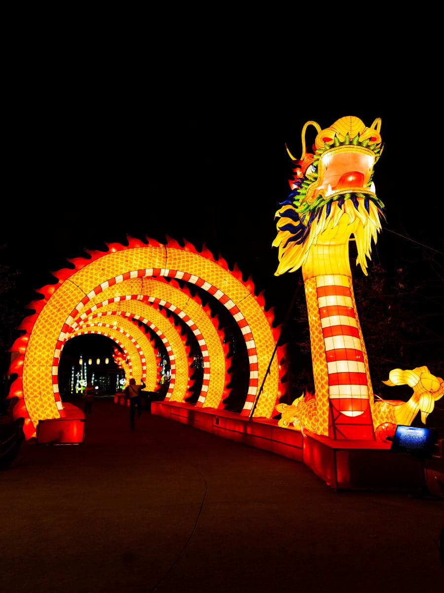 The Grand Rapids Lantern Festival, Grand Rapids