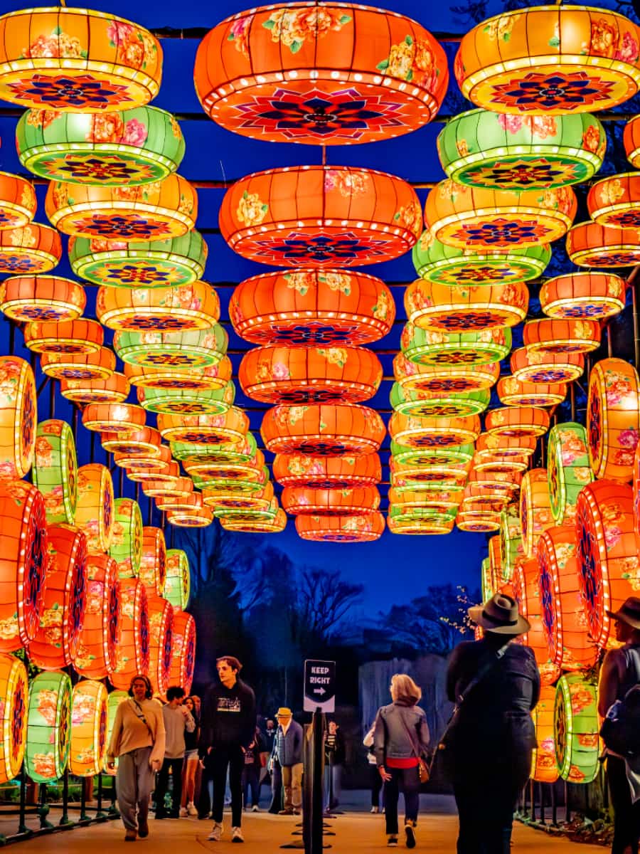 The Grand Rapids Lantern Festival, Grand Rapids
